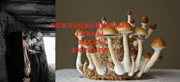 спиды Лагань