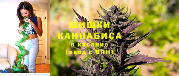 спиды Лагань