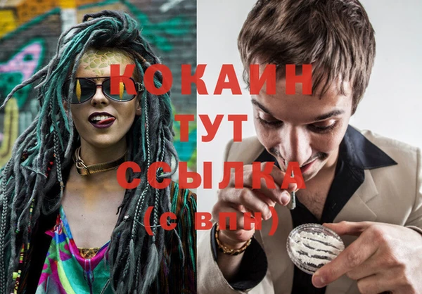 соль ск Ладушкин