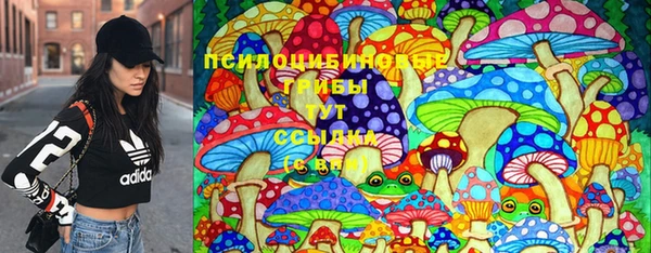 соль ск Ладушкин