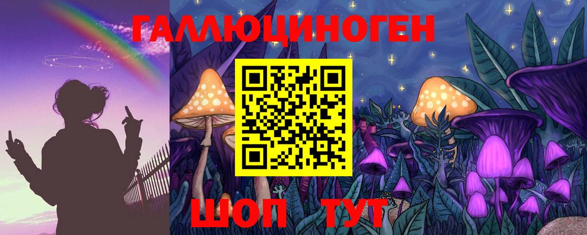 Галлюциногенные грибы Psilocybine cubensis  Вход с VPN  Нефтеюганск  Галлюциногенные грибы Cubensis 