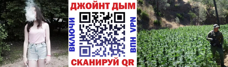 где найти наркотики  Нефтеюганск  Каннабис семена 